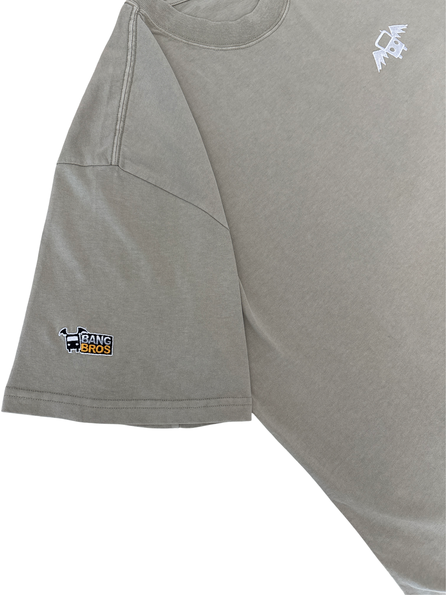 Bang Bros Vintage Wash Embroidered T-shirt - Dust